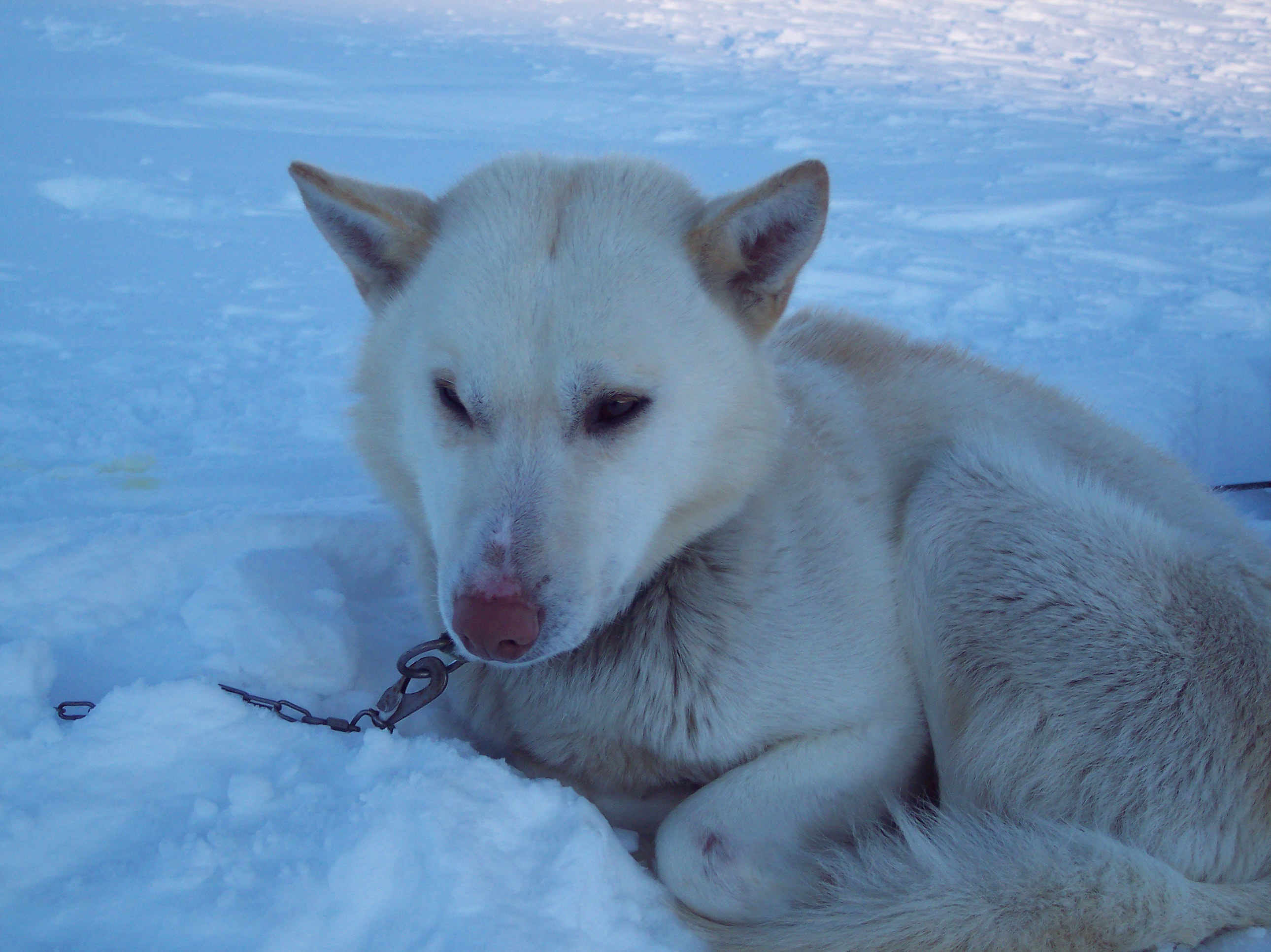 Schweden05.JPG (2580 x 1932)